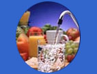 Fruit and Water